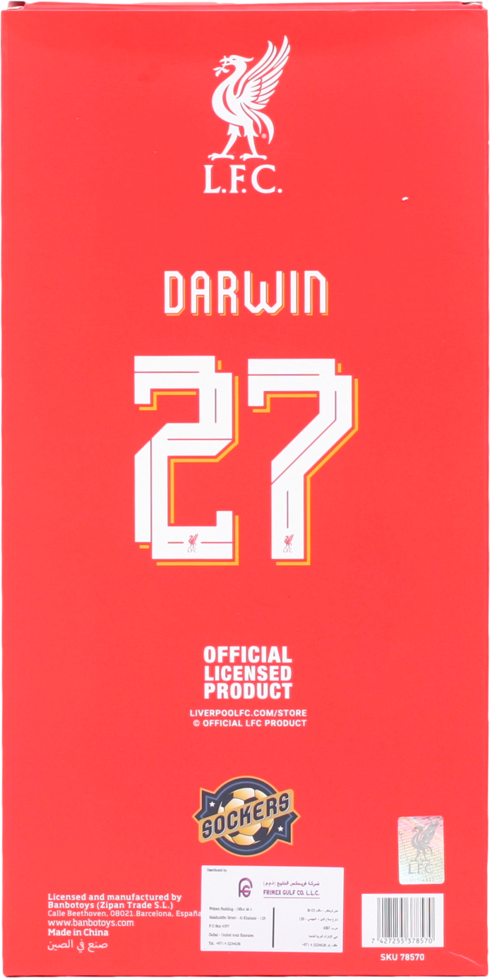 Sockers officially licensed 30cm tall soccer hero figurine with detailed uniform and pose