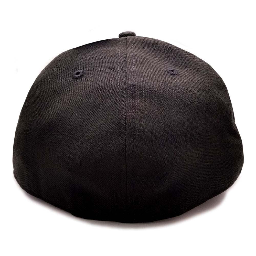 Black Fan Ink Dawn Fitted Hat showcasing team style and spirit, rear view.