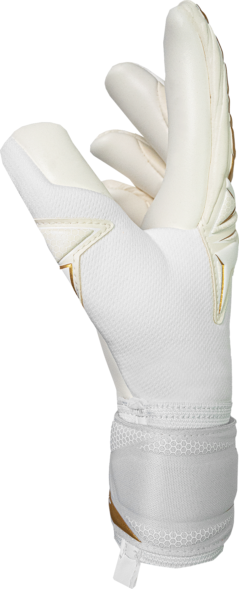 Reusch Attrakt AB1 Advance goalkeeper glove in White-Gold, side view